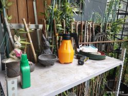 大堂-花间禅净·瑜伽