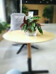 点击看大图 android_upload_pic-CARR SALON