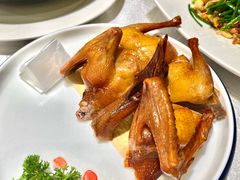 -老广新意(奥园店)