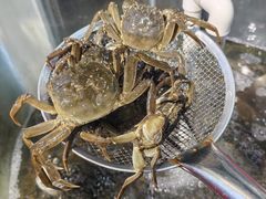 -仙螺岛海鲜自助餐厅(总店)