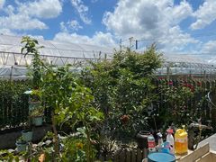 -美家乐农庄·露营·团建(大治路店)