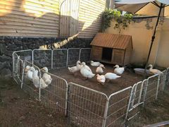 -HERRE·FARM 赫尔露营农场·团建聚会包场