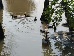 -海珠湖公园