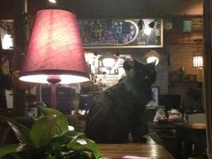 iphone_upload_pic-Sirena海妖日咖夜酒