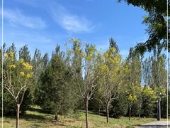 -东郊湿地公园