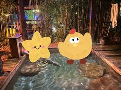 -崇阳三特浪口温泉