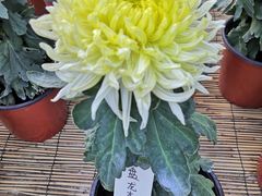 -北京植物园南门售票处