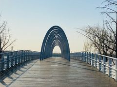 -大兴滨河森林公园