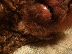 -桂桂茶(万嘉广场店)