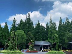 -东平国家森林公园