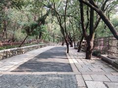 -灵岩山风景区