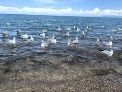 -青海湖二郎剑景区