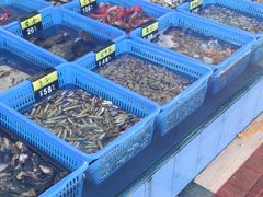 -七鲜渔港美食餐厅(巽寮湾海景店)