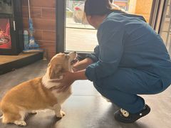 -美联众合宠物医院·爱萌分院·内外科·猫科中心