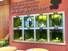 -芸山季·云南野生菌火锅(宝能环球汇店)