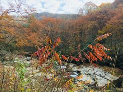 -光雾山旅游景区