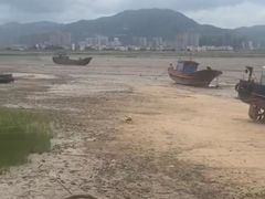 -北岐滩涂