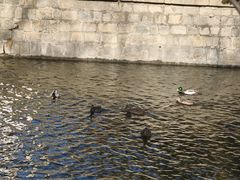 -元大都城垣遗址公园