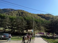 -官滩沟风景区