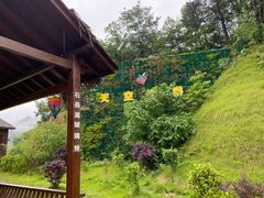 -石燕湖生态旅游景区