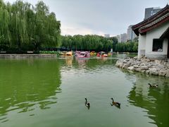 -团结湖公园