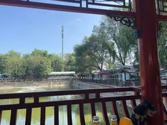 -尚庄度假村·庭台树下·户外烧烤·团建CS·轰趴营地(上庄水库店)
