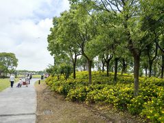 -春花秋色城市公园