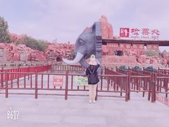 -太阳部落