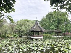 -上海醉白池公园