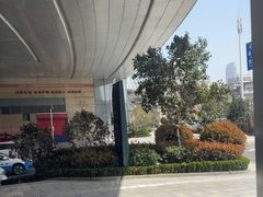 -一棠龙虾•王牌虾球(恒隆广场店)