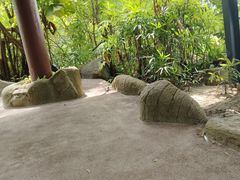 -亚洲大陆最南端