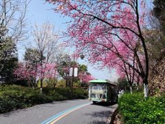 -杭州半山国家森林公园