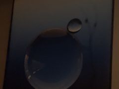 -康友四季(星汇广场店)