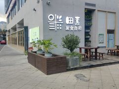 -田素(稻田创业小镇店)