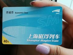 -龙阳路磁悬浮列车总站-停车场