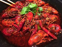 -红辣椒·川菜·火锅(科华路店)