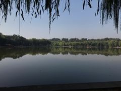 -廊坊市自然公园