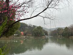 -绍兴大禹开元观堂-若耶厅