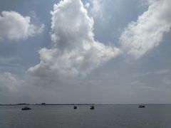 -北海金海湾红树林生态旅游区