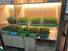 -东椰·海南椰子鸡火锅(朝阳门店)