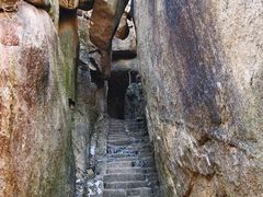 -鲁山国家森林公园