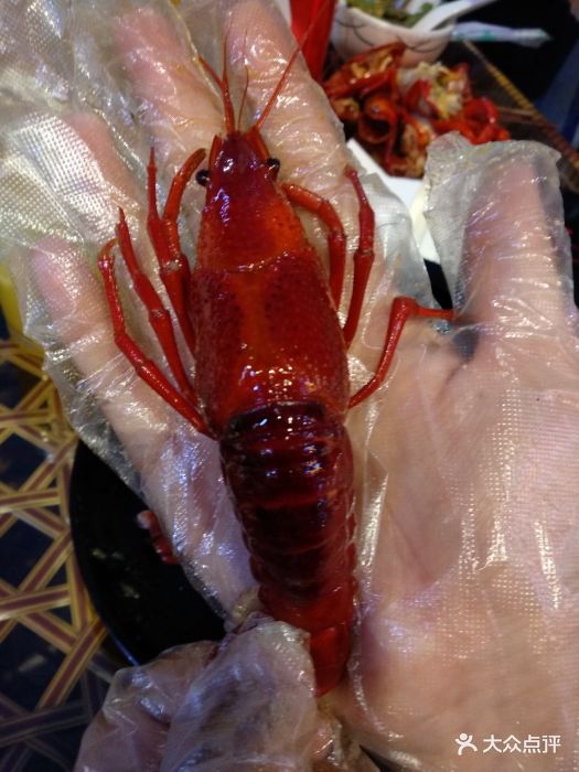 鲁太子龙虾图片 - 第69张