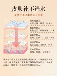 -玛莲朵·海菲秀冰珀科