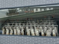 -粥旺庄(芳村店)