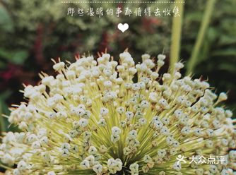 下场亲测: 这个隐藏在春申的公园，免费还美