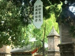 -西安乐游原