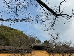 -紫阳古街