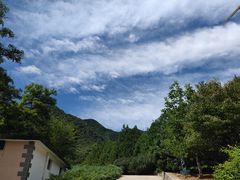 -鹫峰国家森林公园