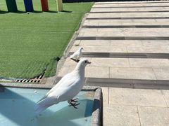 -瑞阁温泉酒店温泉中心