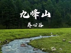 -汤旺河林海奇石景区